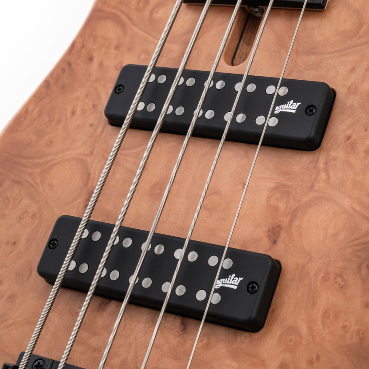 Aguilar AG 5SD-D2 5-String Super Double Bass Pickup Set by Aguilar Shop