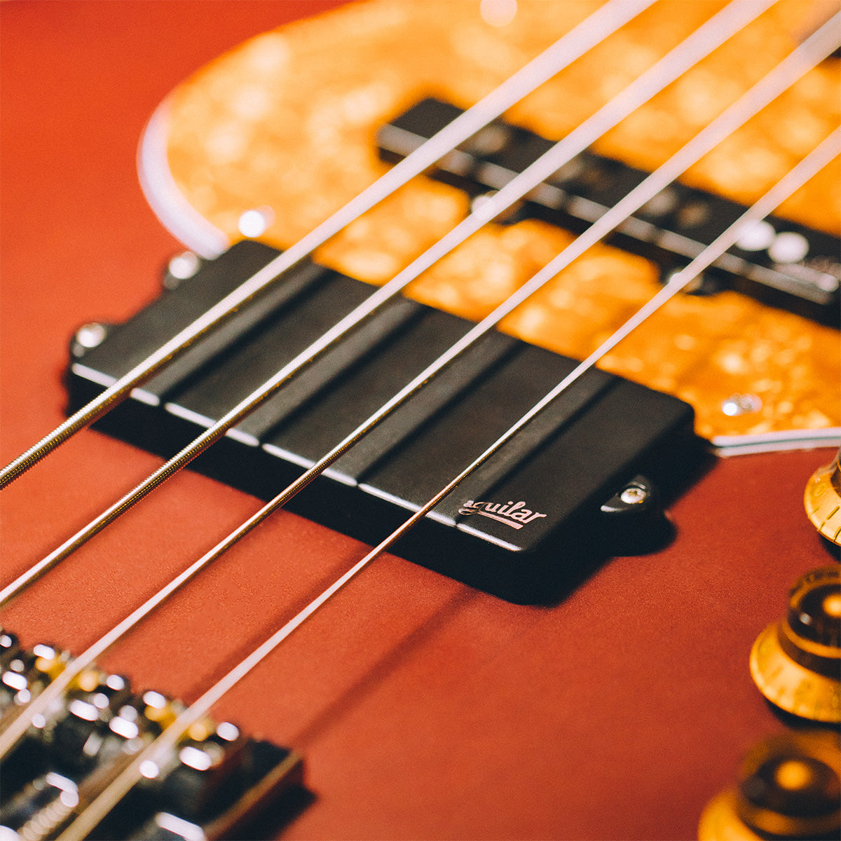 Aguilar DCB 4M M-Style bass pickup on bass guitar close up
