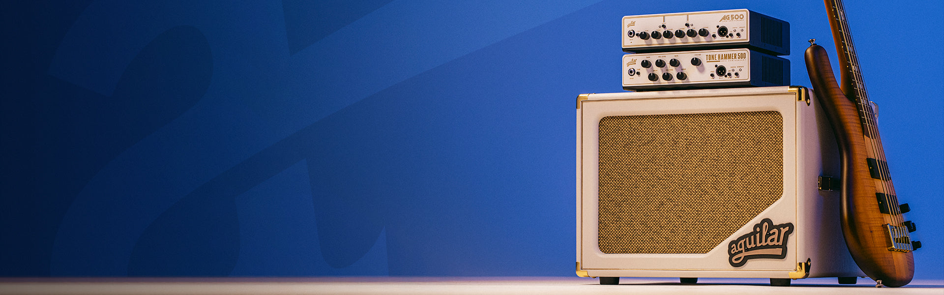 30th Anniversary Edition – Aguilar Shop