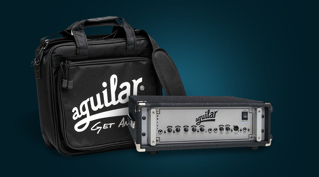 aguilar bass amp with bags