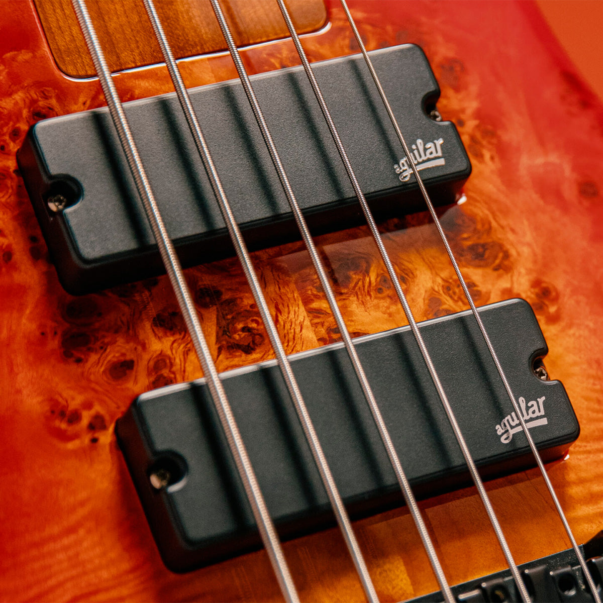 Aguilar G5 dual ceramic bar bass pickups on bass guitar close up