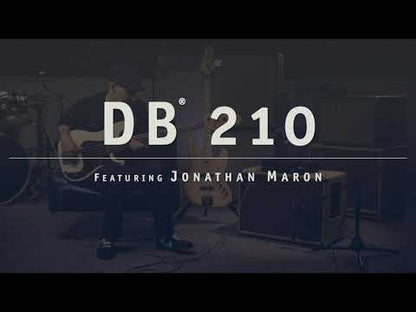 DB 210 Bass Cabinet